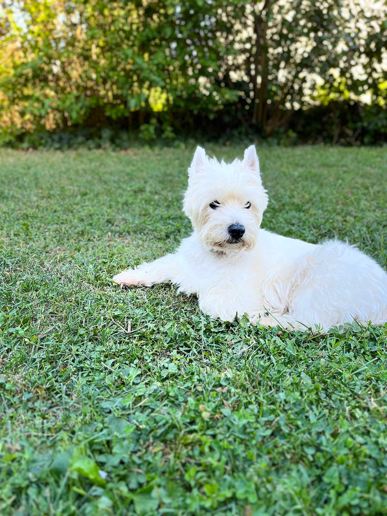 Betty