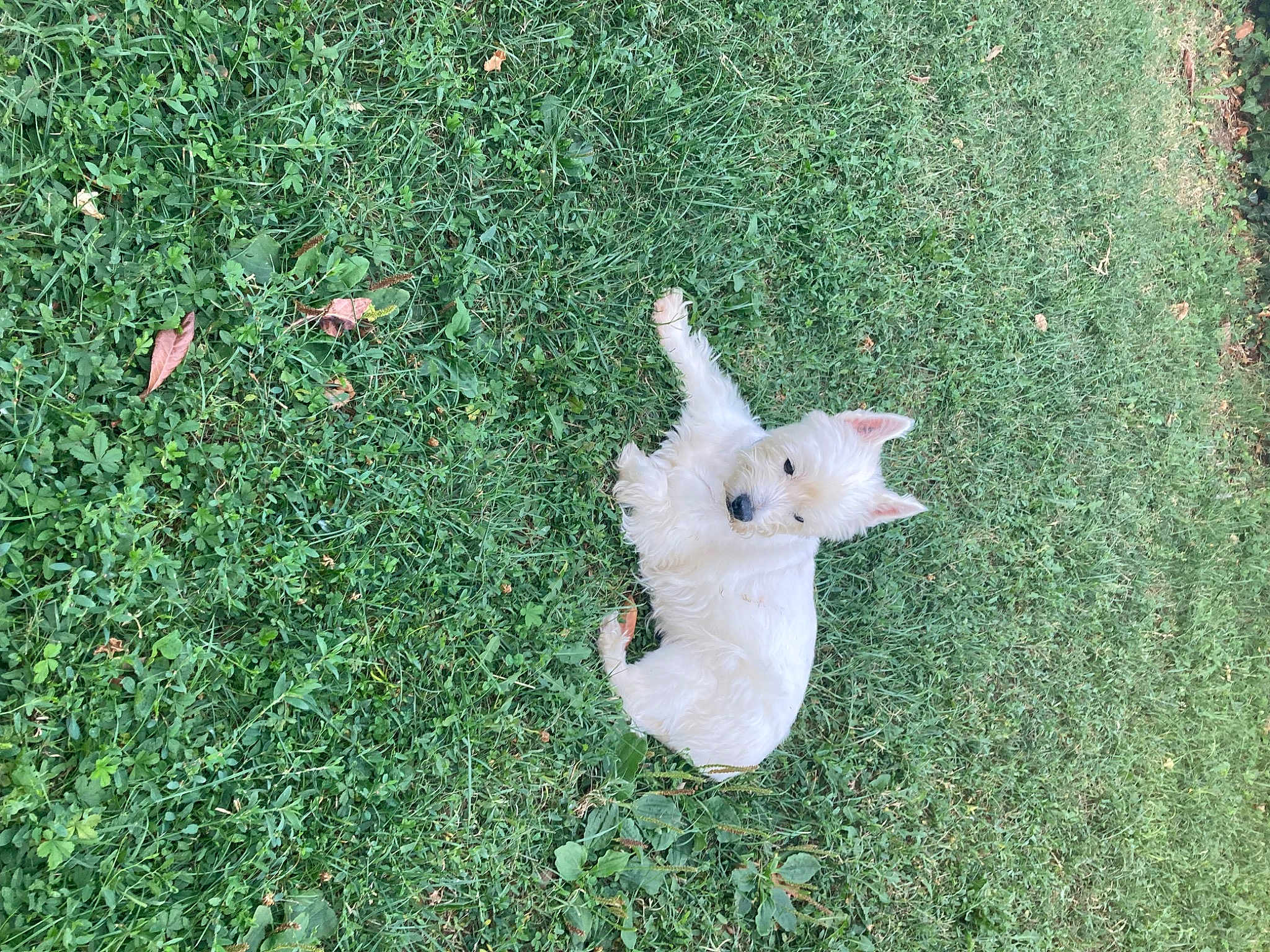 Betty