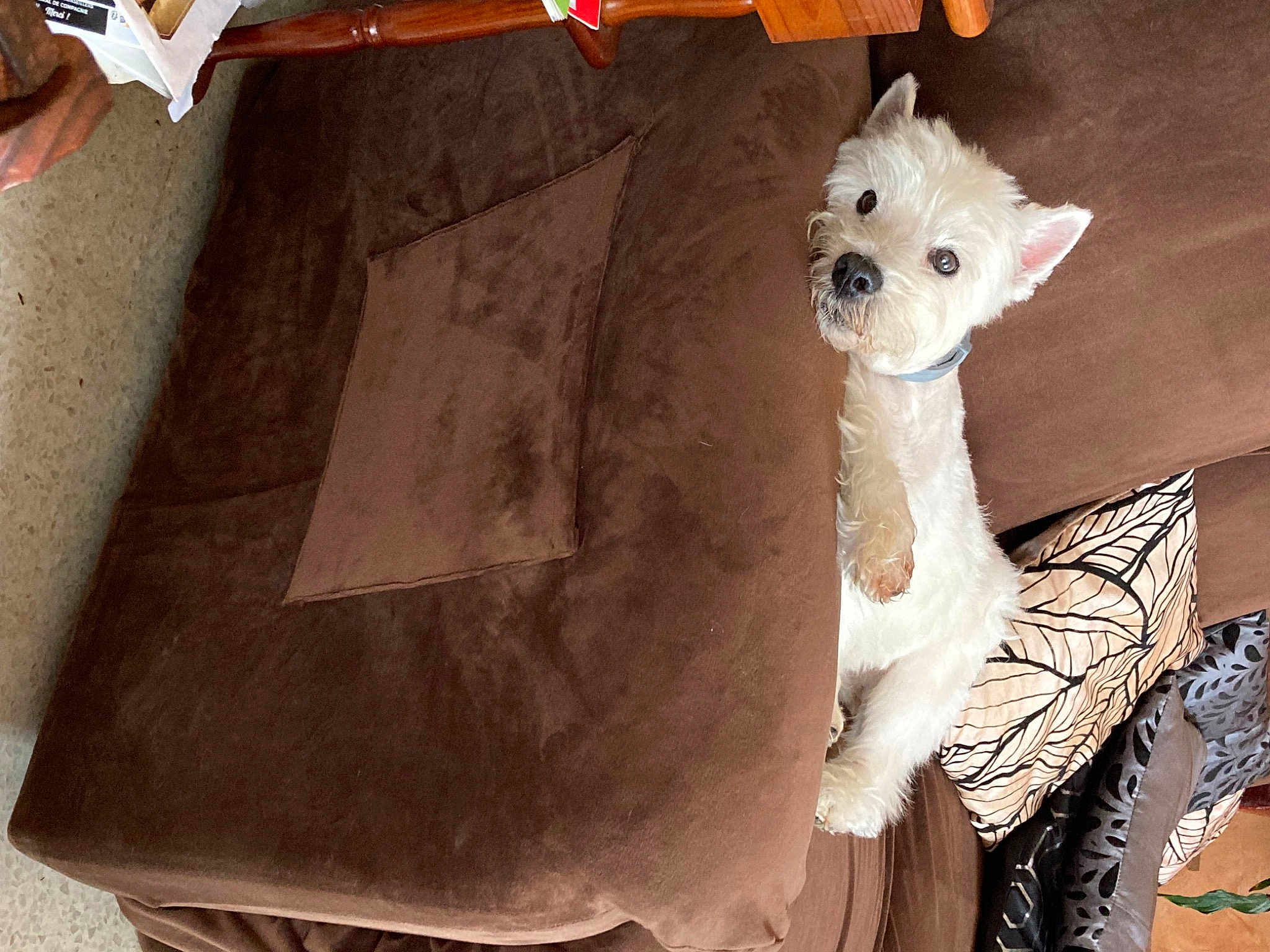 Betty