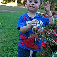 Adelin a rejoint le concours — aidez-le/la à gagner de superbes lots ! blue_shirt, boy, casual_clothing, child, curious, daylight, flowers, garden, grass, greenery, happy, nature, outdoor, person, plants, playing, shoes, smiling, spiderman, toddler