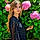 Andreea C.