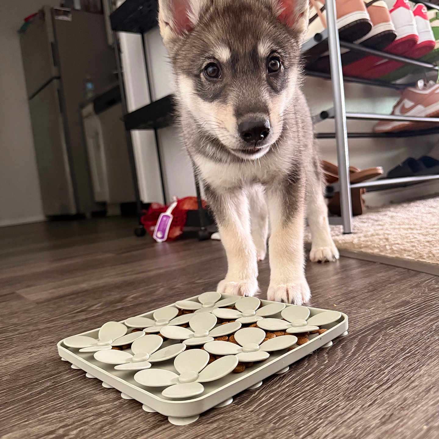 Akira