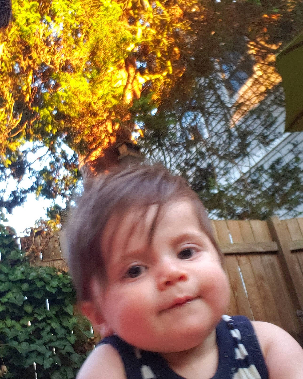 Bronson joined the competition — help win amazing prizes! baby, baby_toddler_clothing, beauty, child, face, facial_expression, grass, happy, head, leisure, people, people_in_nature, person, photograph, plant, smile, summer, sunlight, toddler, tree