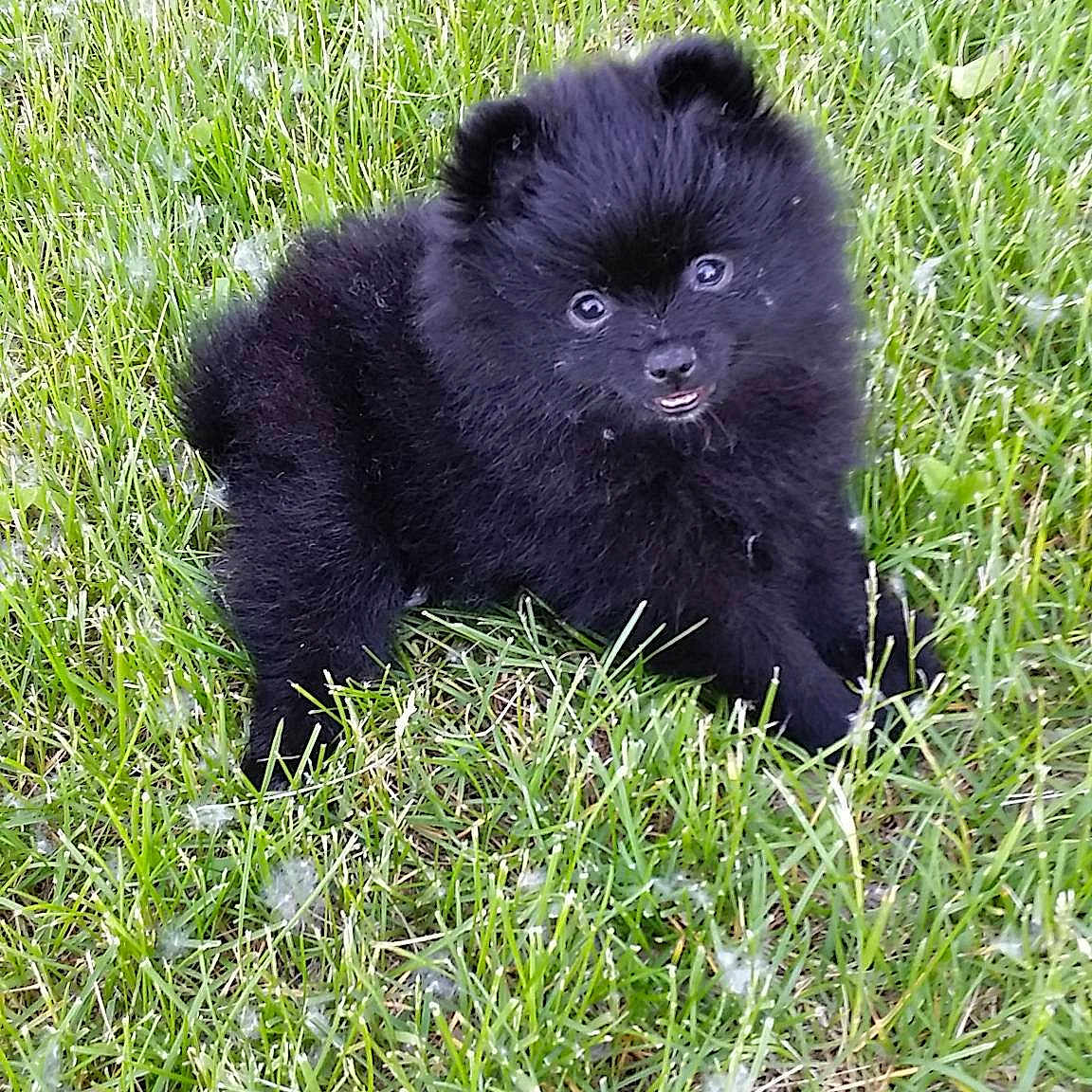 Freya joined the competition — help win amazing prizes!