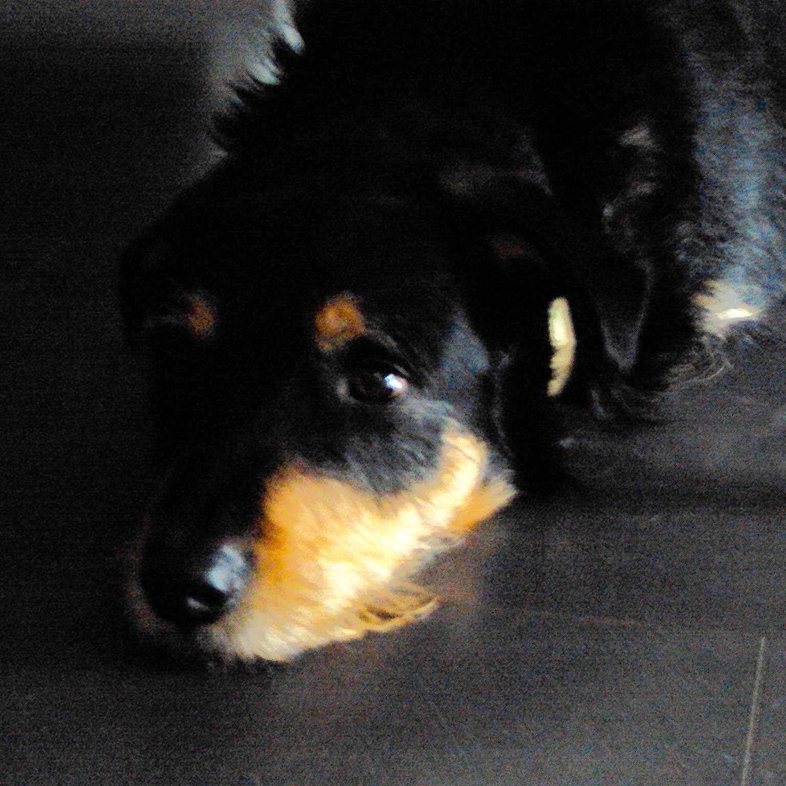 Sam