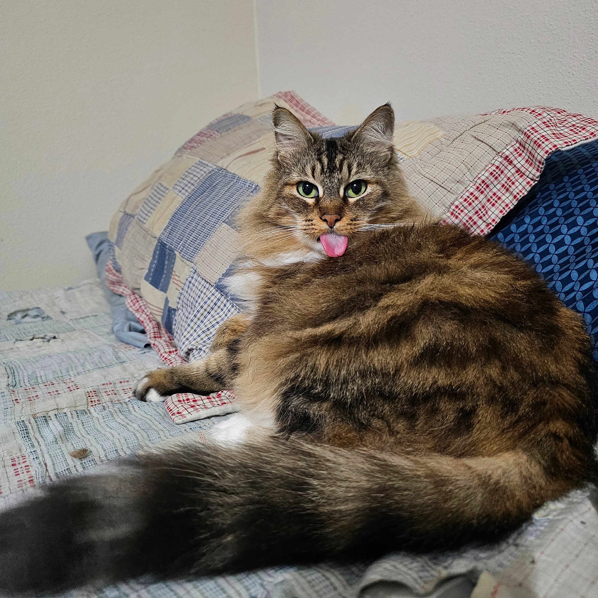 Susan