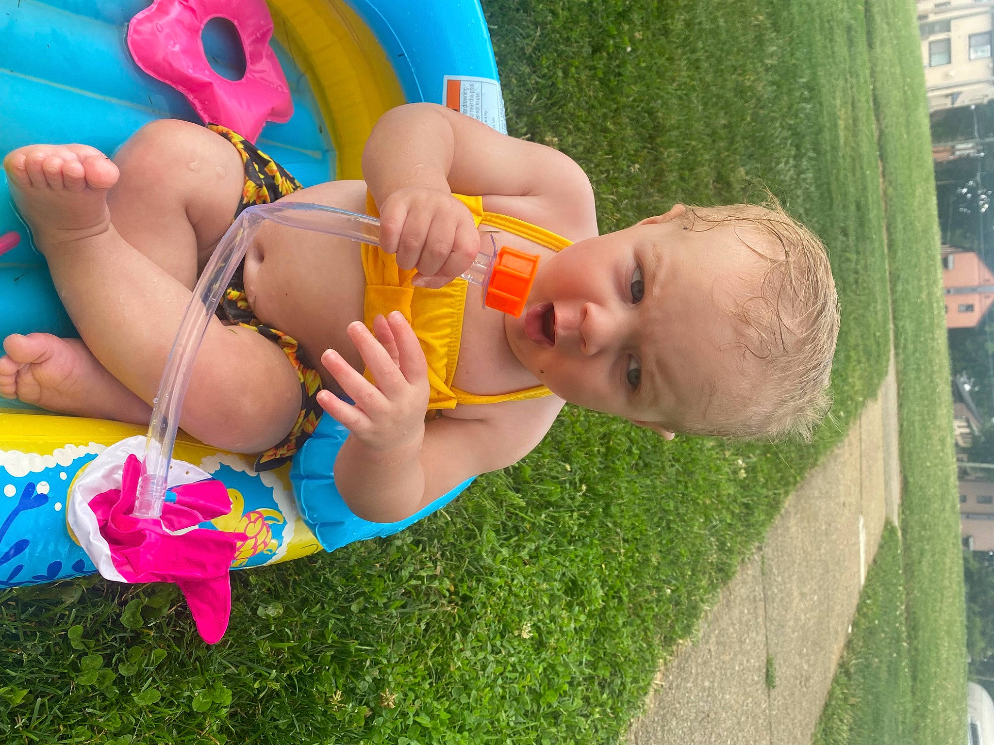 Nellie is registered to the contest to win money with this photo: baby, baby_products, child, finger, fun, grass, green, happy, human_leg, leisure, people_in_nature, person, play, recreation, smile, summer, swimwear, thigh, toddler, toy
