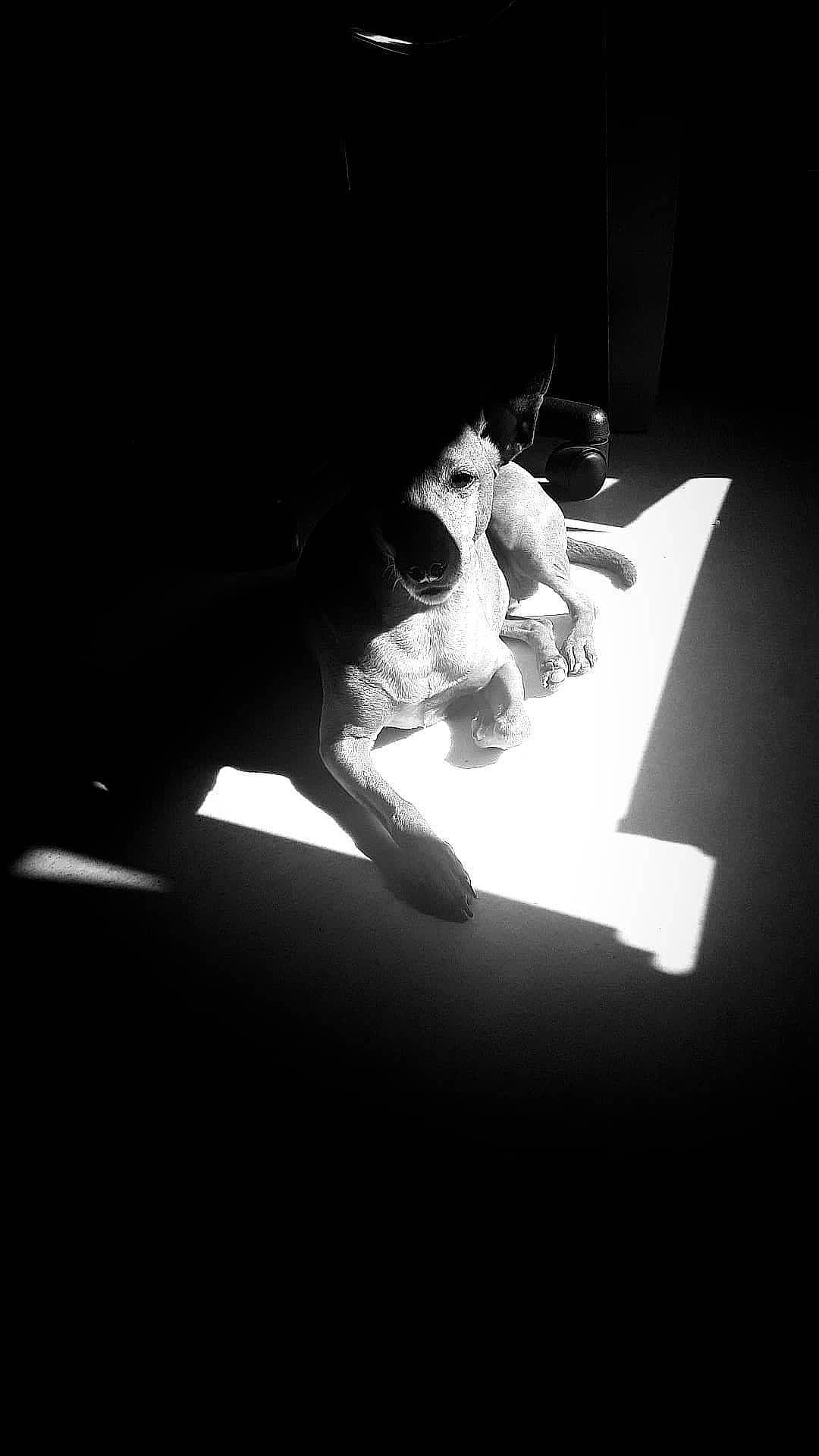 Fun a rejoint le concours — aidez-le/la à gagner de superbes lots ! art, darkness, elbow, entertainment, event, flash_photography, flooring, font, human_leg, monochrome, monochrome_photography, night, performing_arts, room, shadow, sitting, still_life_photography, tints_and_shades