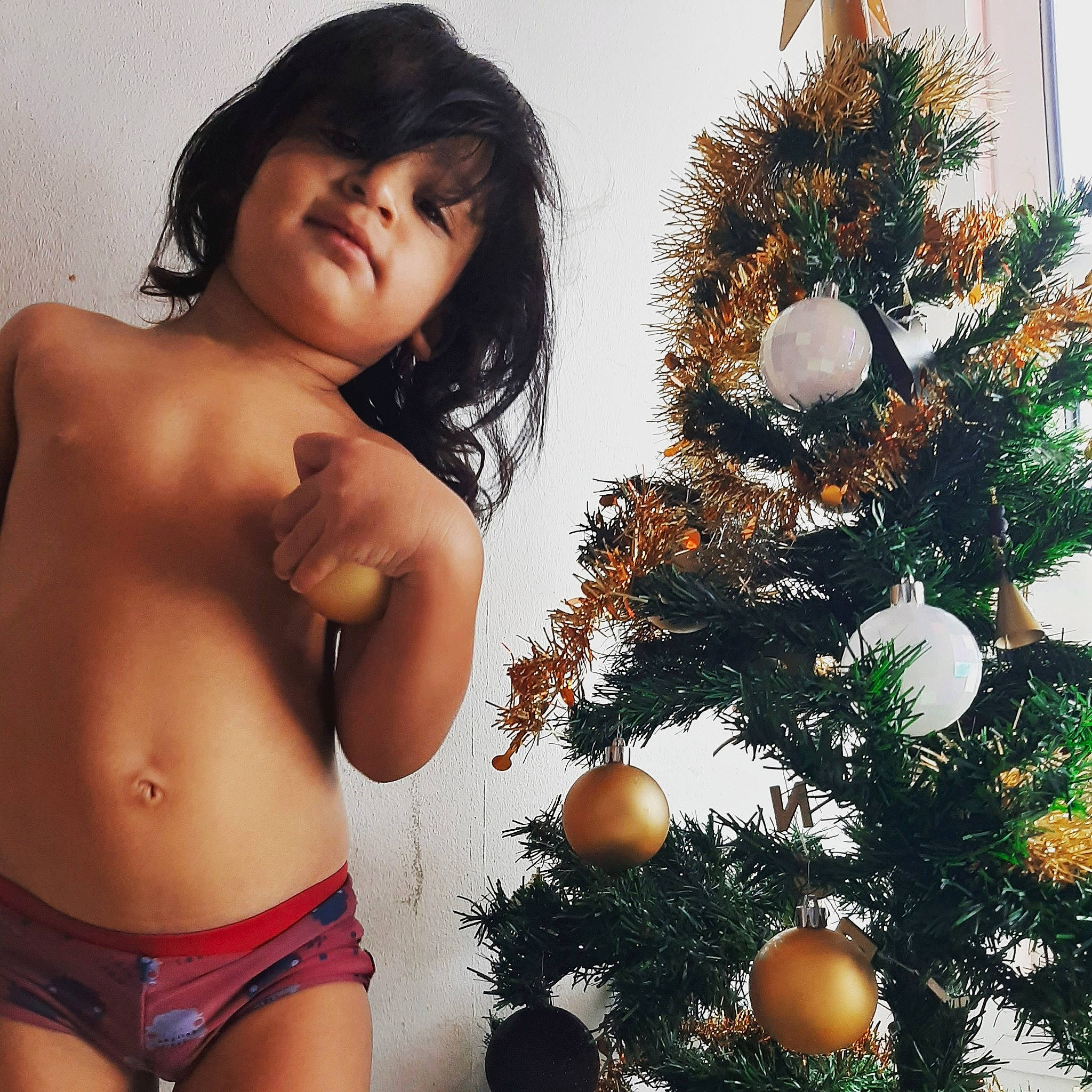 Jahwen participe au concours pour gagner de l'argent avec cette photo : abdomen, black_hair, brown_hair, chest, christmas, christmas_decoration, christmas_eve, christmas_tree, holiday, interior_design, leg, long_hair, muscle, person, photography, pine_family, plant, selfie, thigh, tree