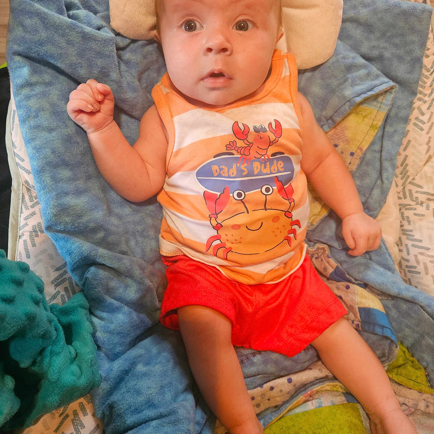 Ryker joined the competition — help win amazing prizes! baby, bed, blanket, bodypart, clothing, couch, cushion, face, finger, furniture, hand, head, homedecor, pants, person, photography, portrait, quilt, shorts, t_shirt