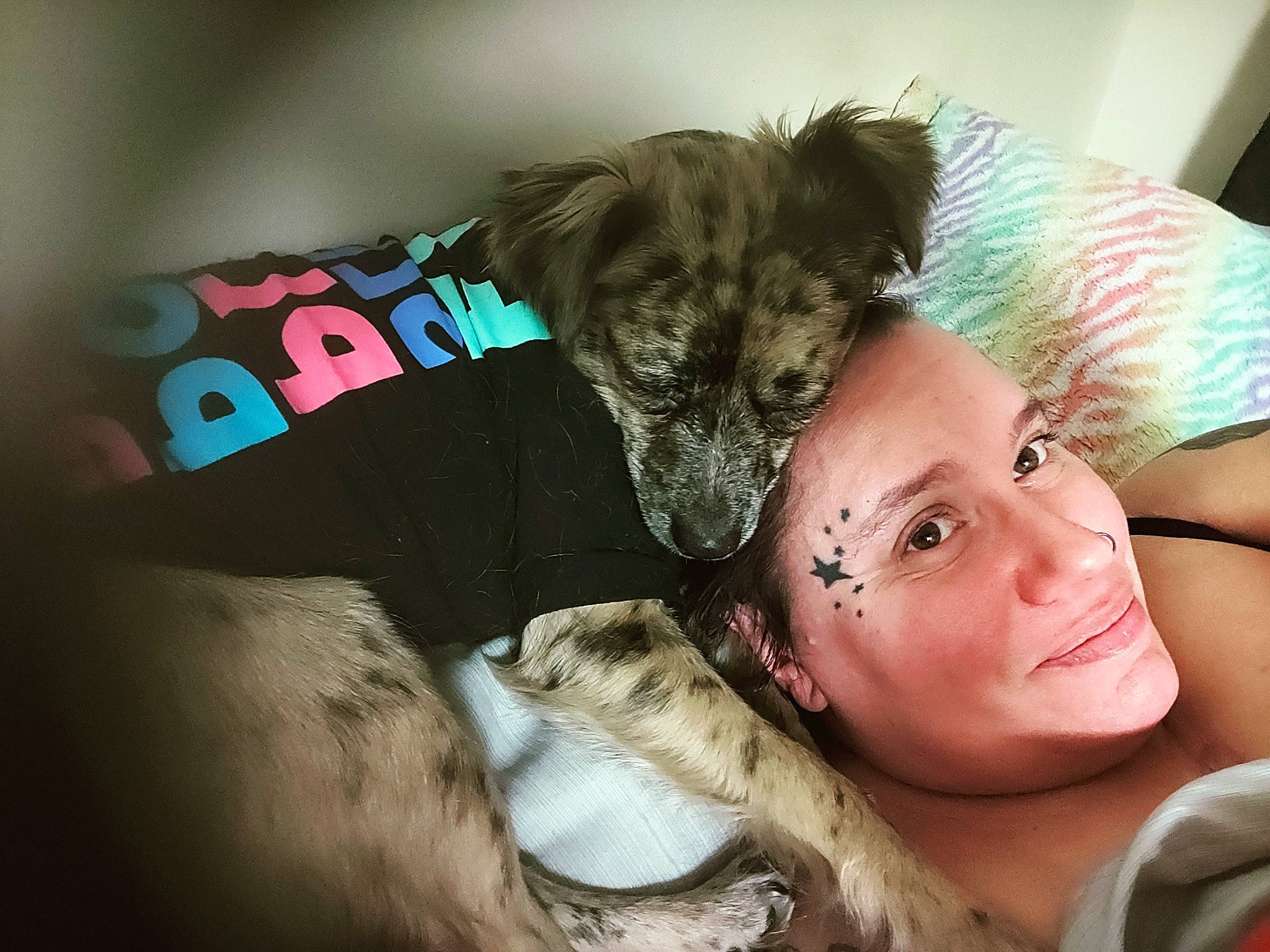 Roxie Nyla joined the competition — help win amazing prizes! canidae, carnivore, comfort, companion_dog, dog, dog_breed, dog_clothes, dog_supply, ear, fashion_accessory, fawn, fur, happy, hat, small_terrier, smile, sporting_group, terrier, toy_dog, working_animal