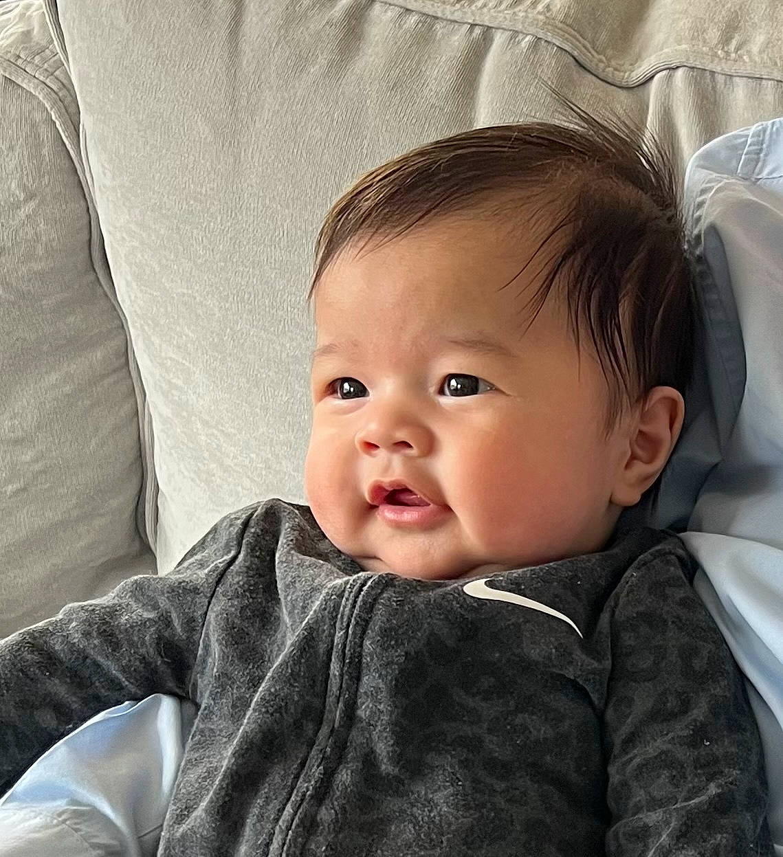 Enzo is registered to the contest to win money with this photo: baby, baby_toddler_clothing, cheek, child, collar, comfort, eyebrow, eyelash, fur, hairstyle, happy, iris, linens, mammal, person, sitting, skin, sleeve, smile, textile