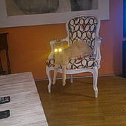 Tibere a rejoint le concours — aidez-le/la à gagner de superbes lots ! cat, chair, patterned_furniture, wooden_floor, indoor, living_room, glowing_eyes, furniture, pet, animal, orange_wall, table, remote_control, artwork, legs_dangling, cozy, domestic, home, relaxed, night