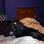 Cairo is registered to the contest to win money with this photo: