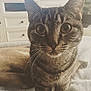 Memphis is registered to the contest to win money with this photo:
