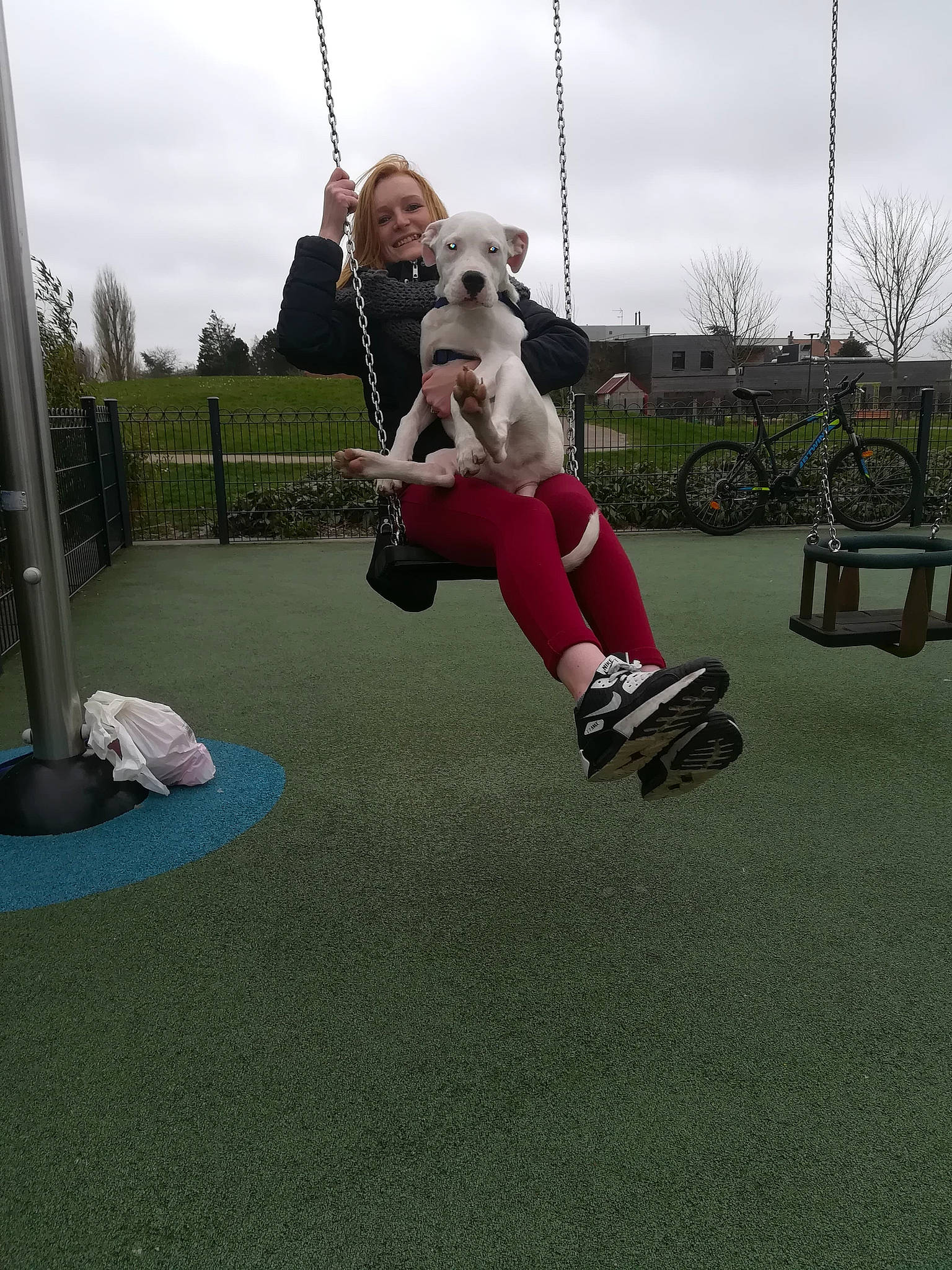 Jack participe au concours pour gagner de l'argent avec cette photo : dog, dog_like_mammal, flooring, fun, grass, joy, lawn, mammal, outdoor_play_equipment, person, plant, play, playground, public_space, recreation, tree, vertebrate