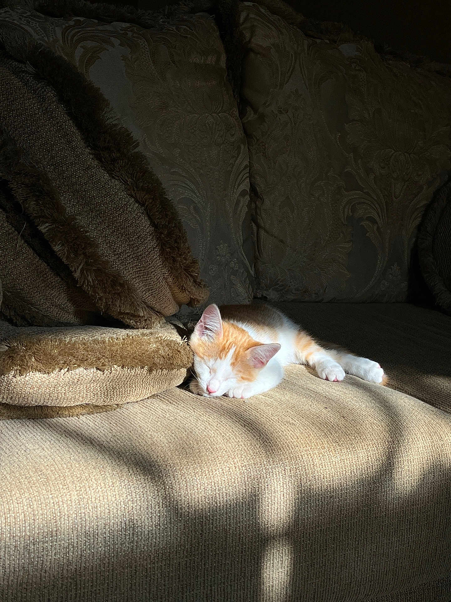 Chloe