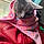 Sookie