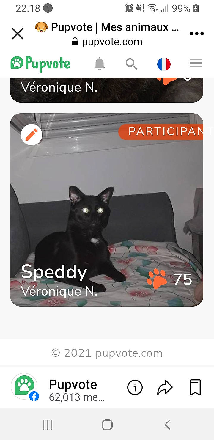 Speddy a rejoint le concours — aidez-le/la à gagner de superbes lots ! advertising, brand, carnivore, cat, communication_device, electronic_device, felidae, font, graphic_design, logo, magenta, multimedia, photo_caption, product, screenshot, small_to_medium_sized_cats, technology, whiskers