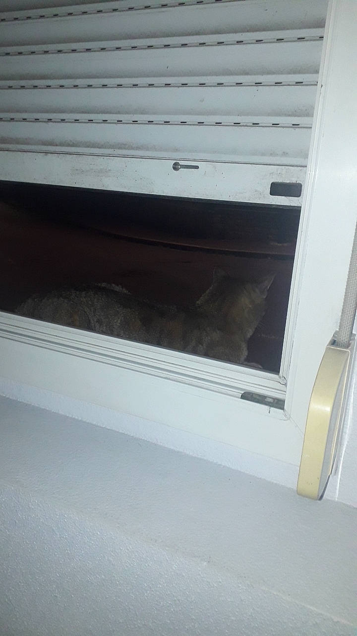 Miel participe au concours pour gagner de l'argent avec cette photo : aluminium, automotive_exterior, composite_material, fixture, flooring, gas, glass, hardwood, machine, natural_material, plywood, rectangle, sash_window, tints_and_shades, transparency, window, wood, wood_stain