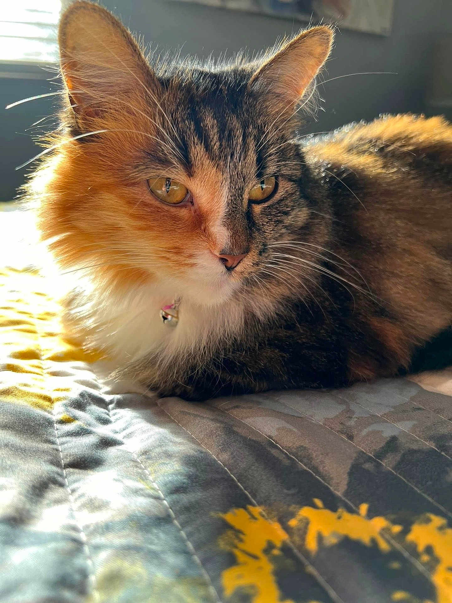 Lorelai