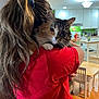 cat, person, hugging, red_shirt, long_hair, indoor, kitchen, dining_table, chair, wooden_floor, cabinet, light_fixture, pet, cozy, curious_cat, domestic, casual, home, animal, comfort