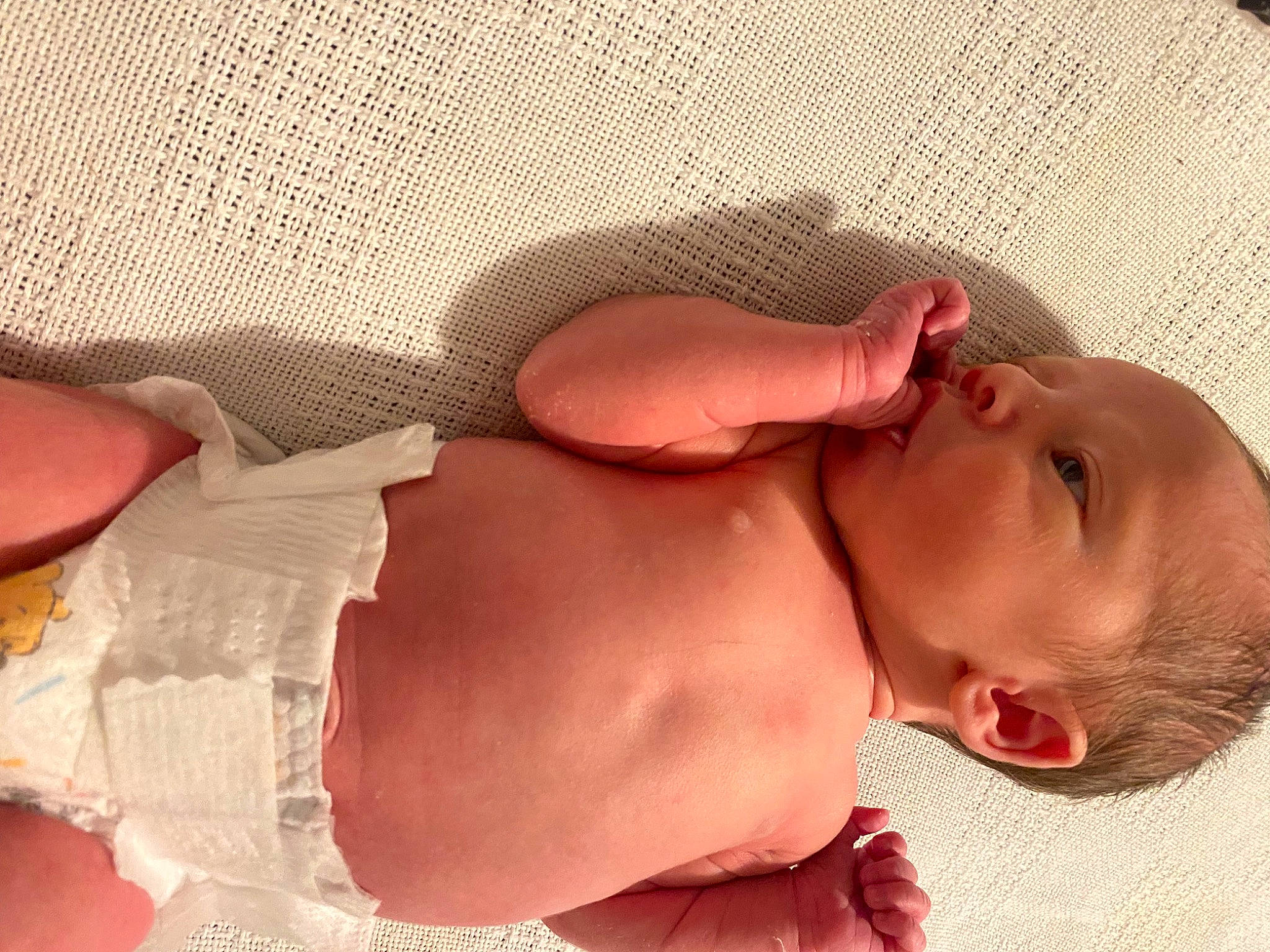 Camden joined the competition — help win amazing prizes! abdomen, baby, baby_sleeping, baby_toddler_clothing, barechested, cheek, chest, comfort, eyelash, finger, hand, human_body, human_leg, mouth, person, pink, skin, stomach, thigh, toddler