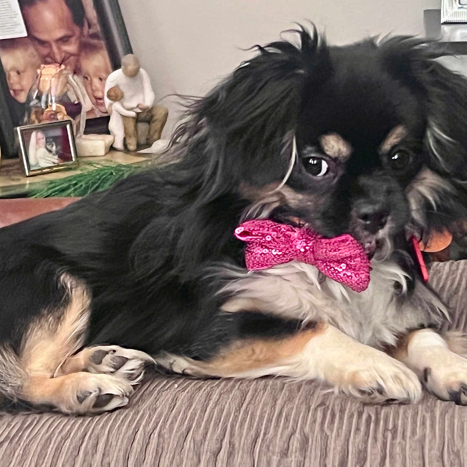 Bella