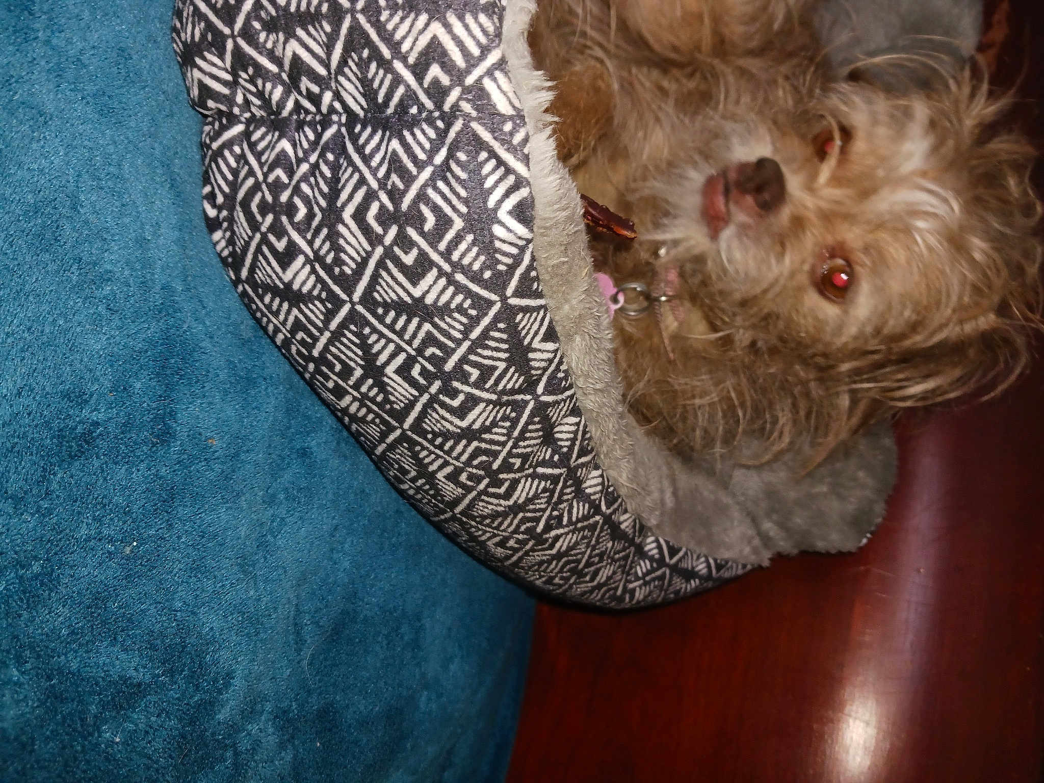 Hanna