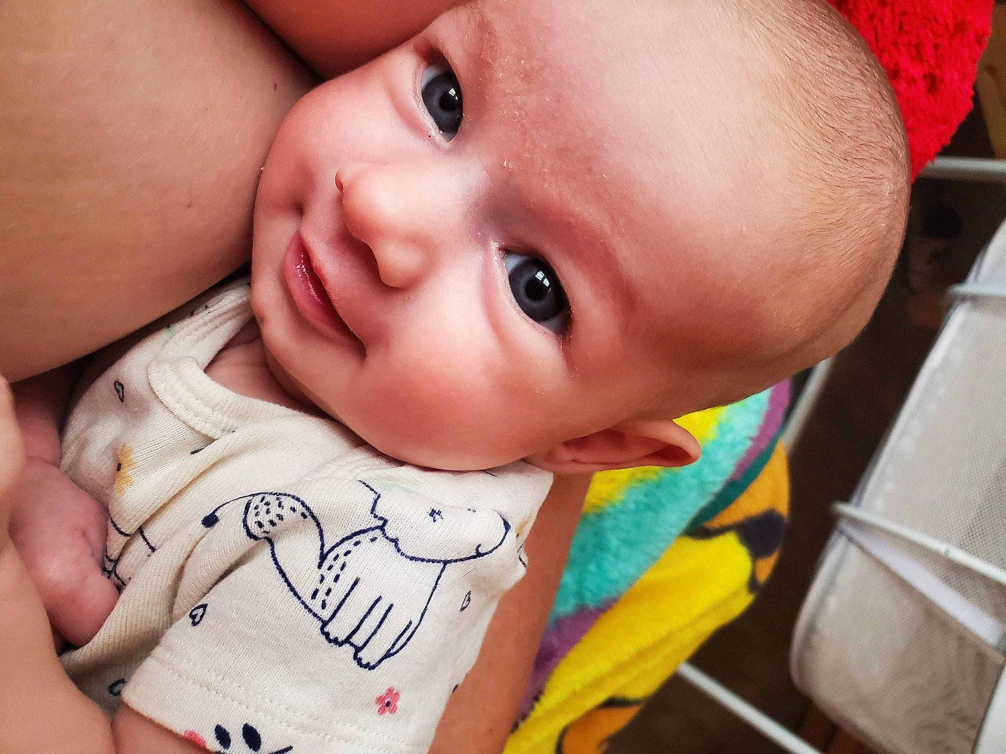 Kassidy is registered to the contest to win money with this photo: baby, baby_toddler_clothing, cheek, chin, ear, eye, eyebrow, eyelash, finger, forehead, gesture, happy, iris, lip, mouth, neck, nose, person, skin, sleeve