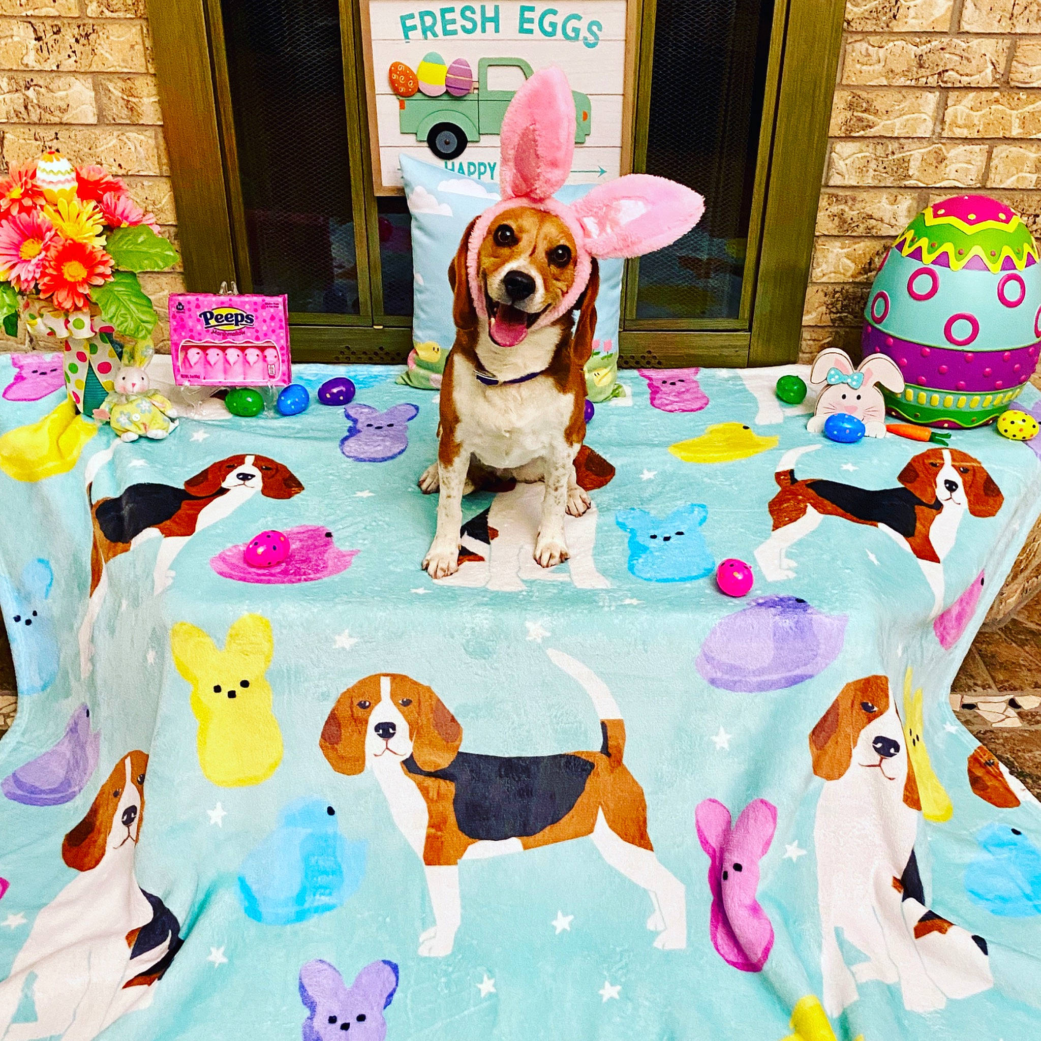 Khalifa joined the competition — help win amazing prizes! art, beagle, canidae, carnivore, cartoon, companion_dog, dog, dog_breed, happy, illustration, pattern, pembroke_welsh_corgi, play, puppy, puppy_love, welsh_corgi