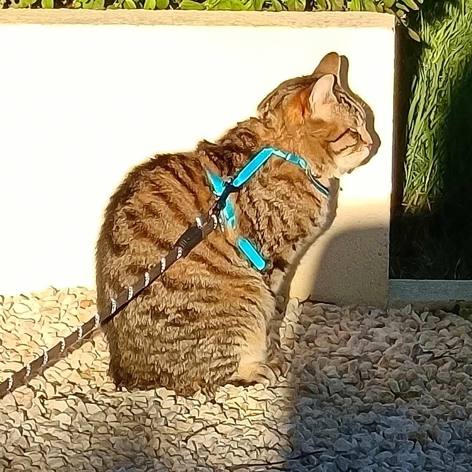 Moustick