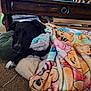 dog, black_dog, blanket, winnie_the_pooh, plush_toy, pillow, carpet, wooden_furniture, indoor, resting, cozy, pet, animal, comfort, home, relaxing, fur, paw, snuggled, toy