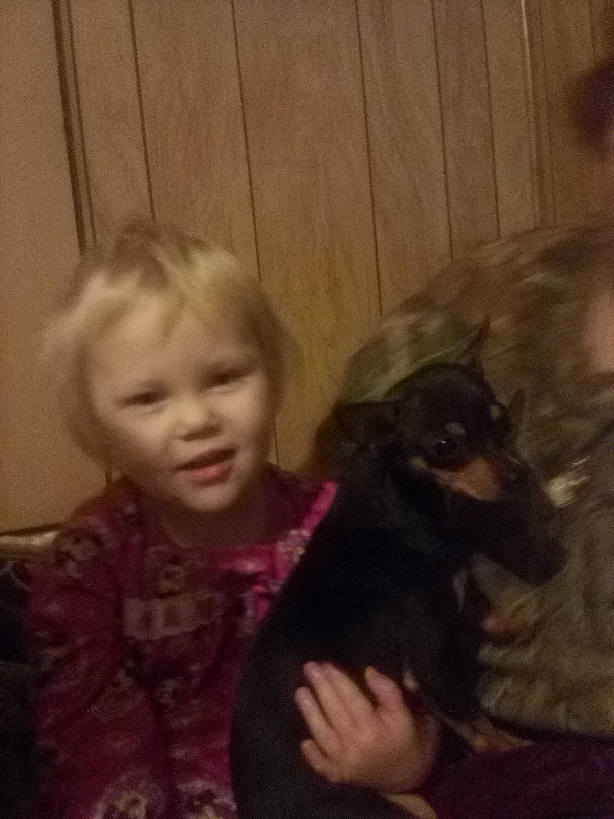 Jennifer joined the competition — help win amazing prizes! canidae, carnivore, child, companion_dog, dog, dog_breed, ear, english_toy_terrier, fawn, guard_dog, miniature_pinscher, person, puppy, toddler, toy_dog