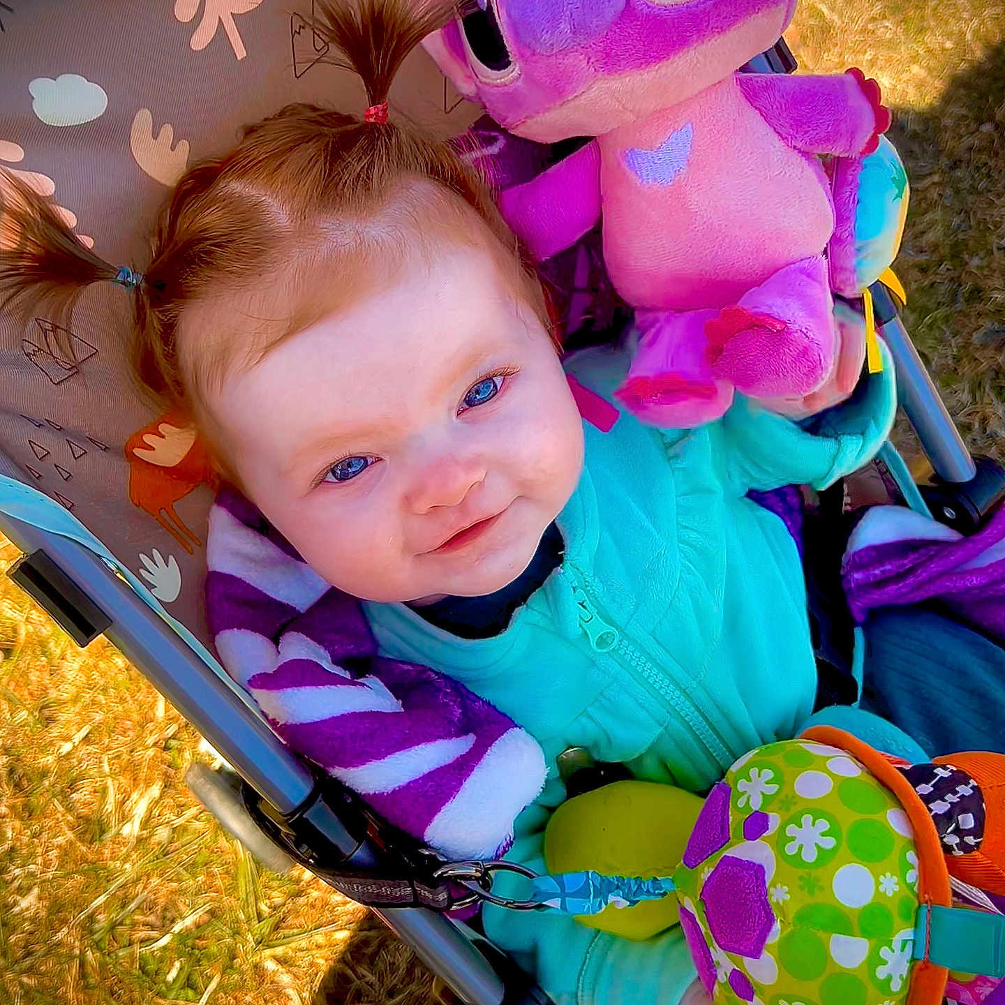 Delilah is registered to the contest to win money with this photo: baby, blue_eyes, child, clothing, colorful, cute, grass, happy, infant, jacket, outdoor, person, playful, plush_toy, ponytails, purple, smile, stroller, sunlight, toy