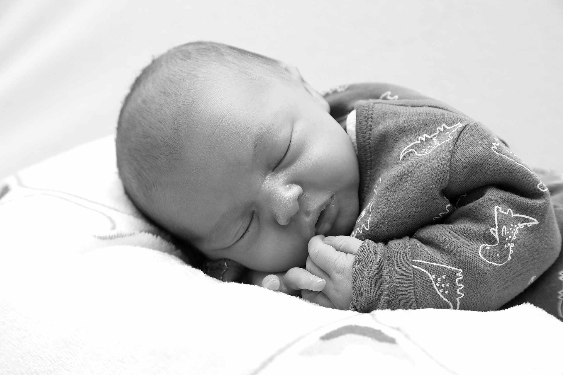 Sasha a rejoint le concours — aidez-le/la à gagner de superbes lots ! newborn, baby, sleeping, infant, onesie, dinosaur_pattern, blanket, closeup, peaceful, resting, cozy, soft, cute, child, portrait, monochrome, black_and_white, tiny_hands, face, relaxation