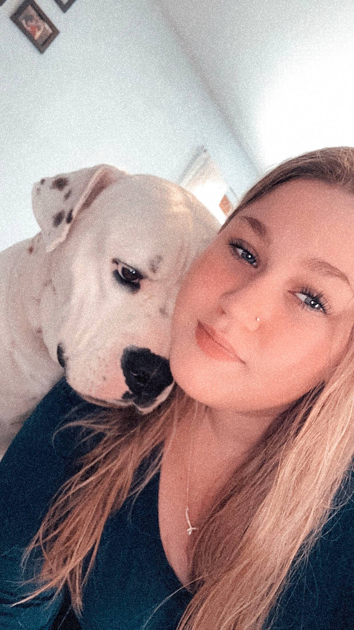 Dino joined the competition — help win amazing prizes! canidae, carnivore, cloud, companion_dog, dog, dog_breed, eye, fawn, flash_photography, fur, happy, iris, jaw, nose, selfie, smile, snout, sporting_group, whiskers, working_animal