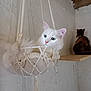animal, calico_cat, cat, cozy, cute, domestic, feline, fur, hanging_bed, indoor, macrame, pets, relaxed, resting, shelf, texture, two_cats, wall, white_cat, wood