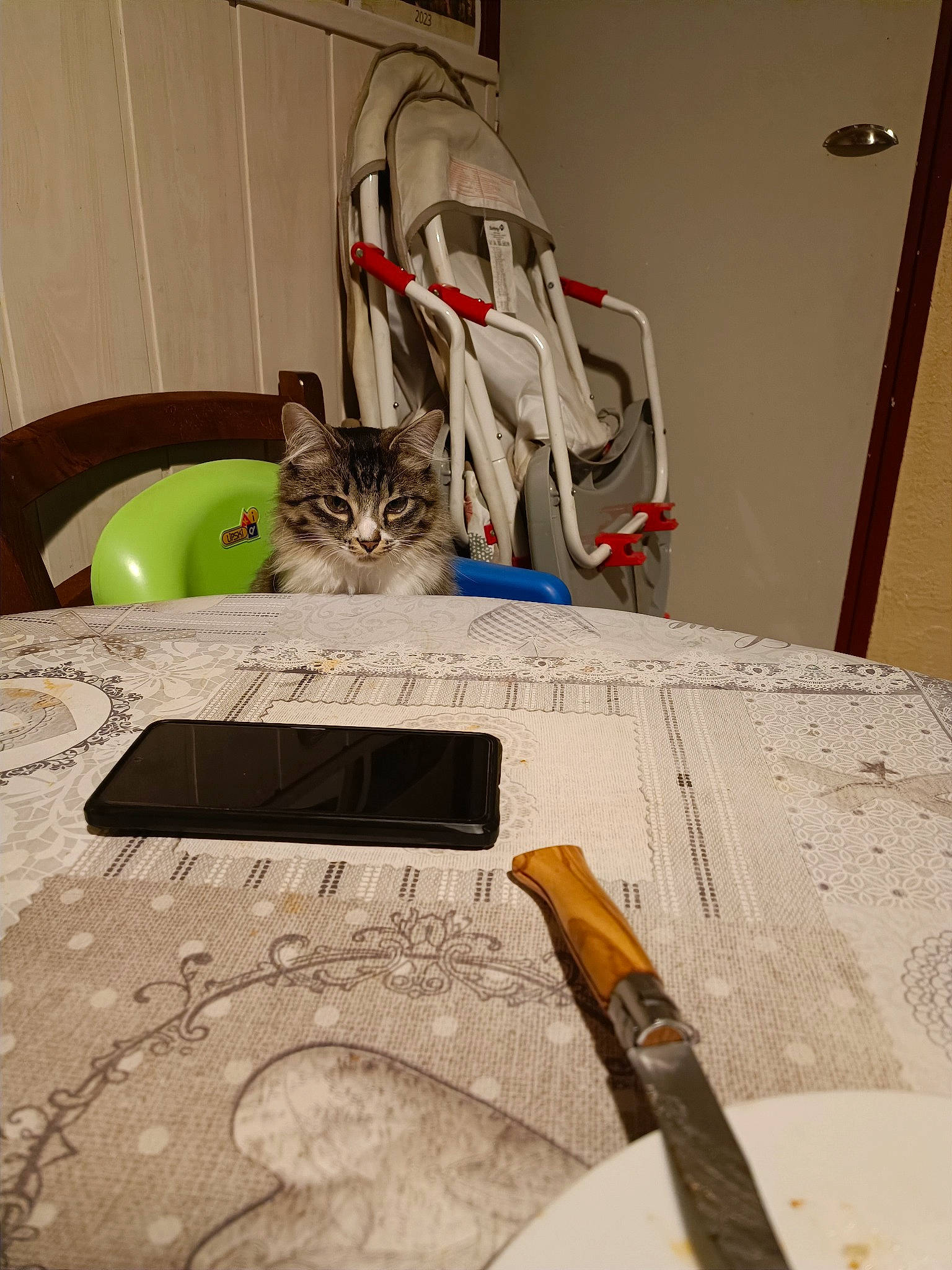 Pixie participe au concours pour gagner de l'argent avec cette photo : art, carnivore, cat, domestic_short_haired_cat, eyewear, felidae, flooring, hardwood, office_supplies, pen, room, ruler, scissors, small_to_medium_sized_cats, stationery, tool, visual_arts, whiskers, wood, writing_implement