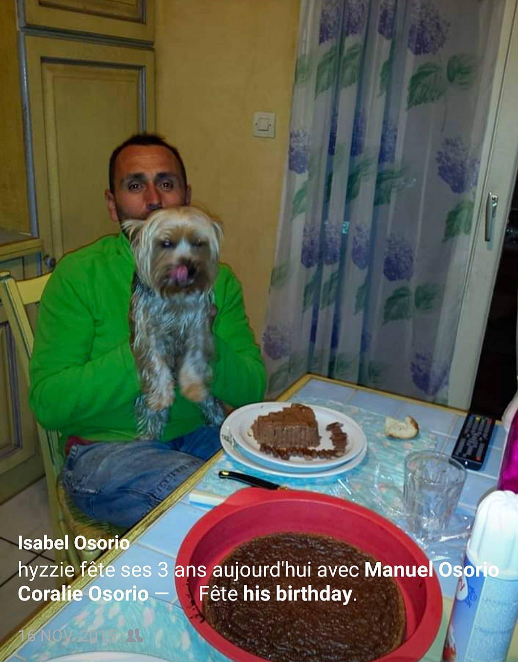 Hyzzie a rejoint le concours — aidez-le/la à gagner de superbes lots ! bolonka, canidae, carnivore, cockapoo, dog, dog_breed, dog_food, lagotto_romagnolo, pet_food, sporting_group