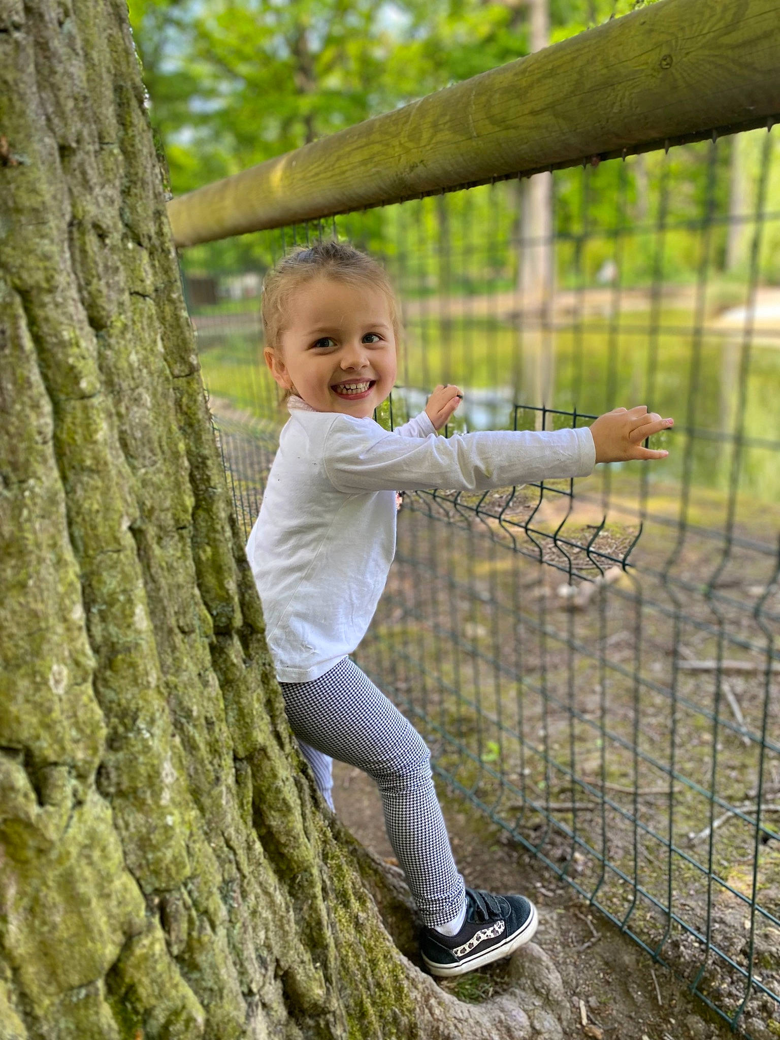 Lilou participe au concours pour gagner de l'argent avec cette photo : botany, child, fence, forest, fun, grass, happy, joy, leisure, mesh, people_in_nature, person, plant, recreation, smile, spring, standing, toddler, tree, trunk