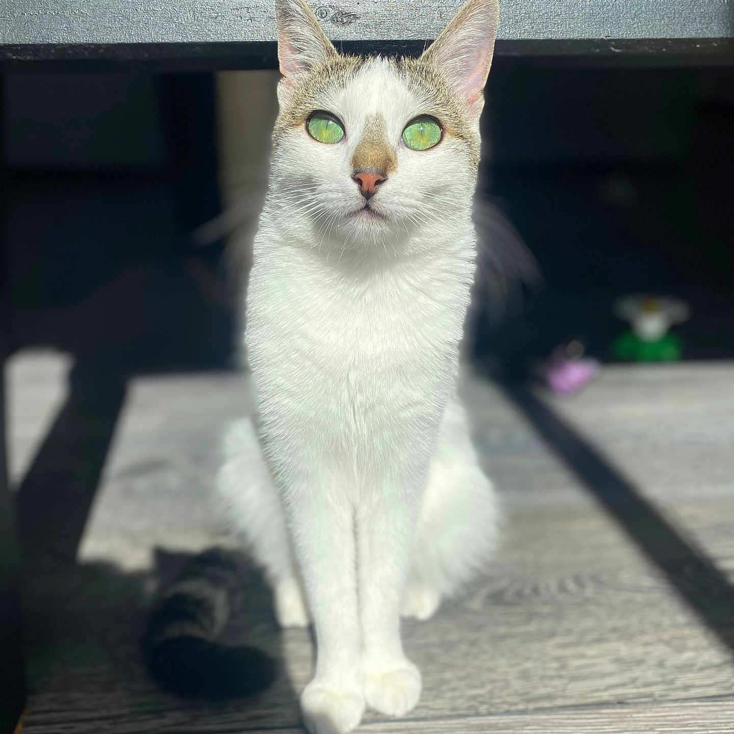 Tina