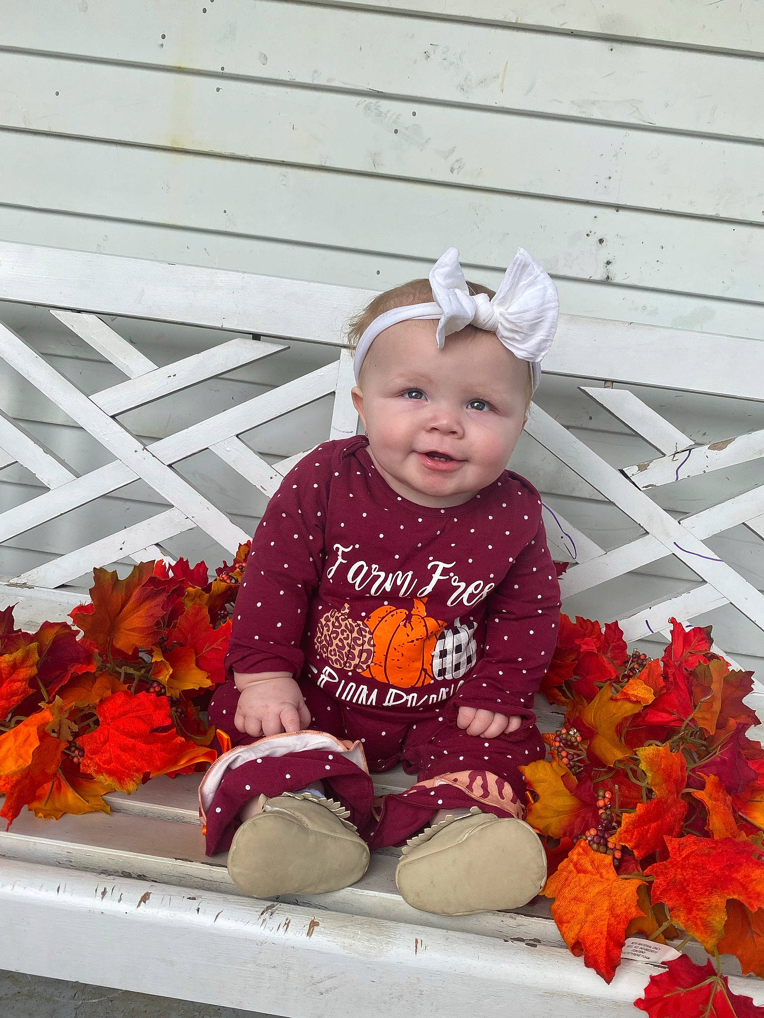 Layanna is registered to the contest to win money with this photo: autumn, baby, baby_toddler_clothing, child, flower, fun, grass, happy, jeans, leaf, orange, peach, person, petal, pink, plant, pumpkin, sitting, smile, t_shirt