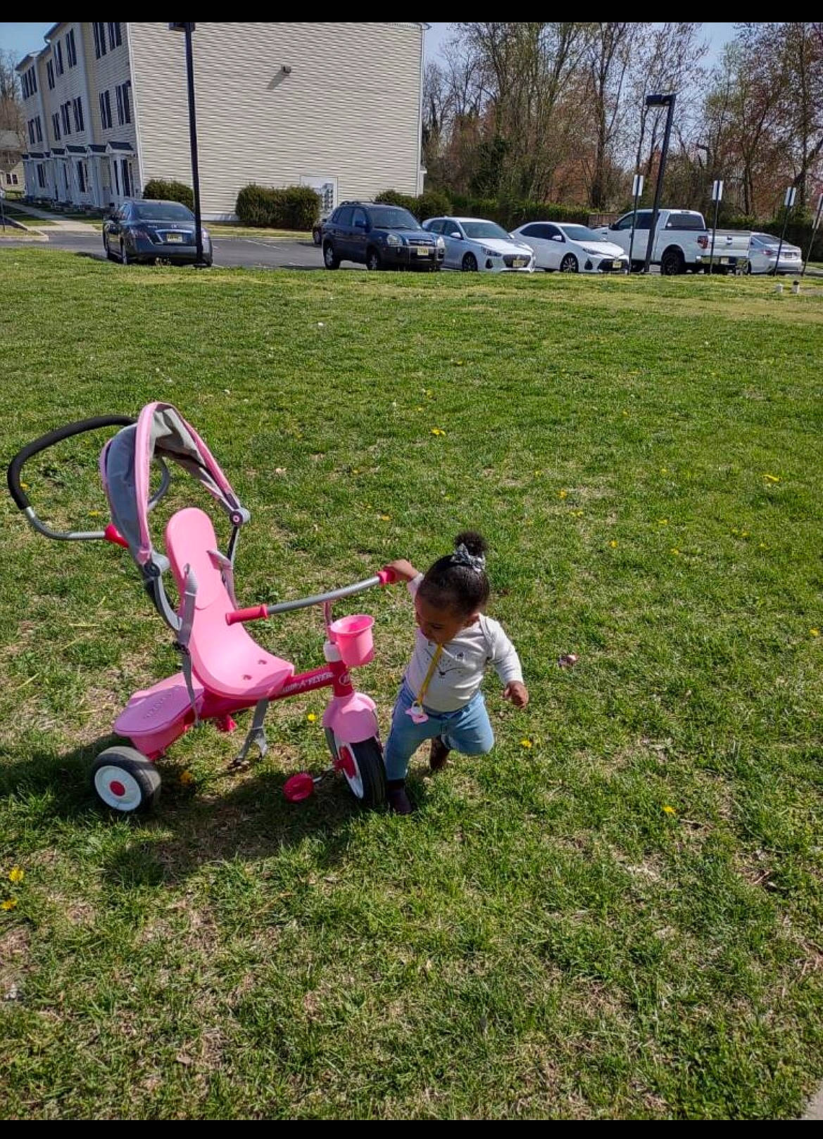Michaela joined the competition — help win amazing prizes! automotive_wheel_system, car, event, fun, grass, grass_family, grassland, lawn, leisure, meadow, people_in_nature, person, plant, recreation, shrub, soil, tire, toddler, tree, wheel