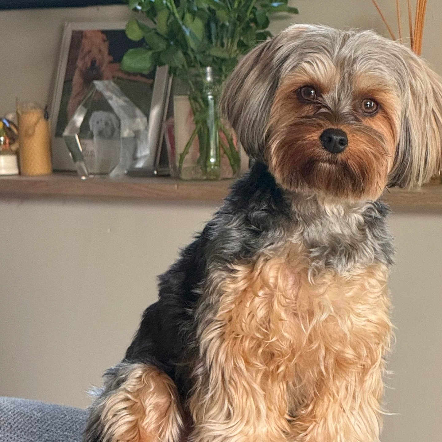 Millie
