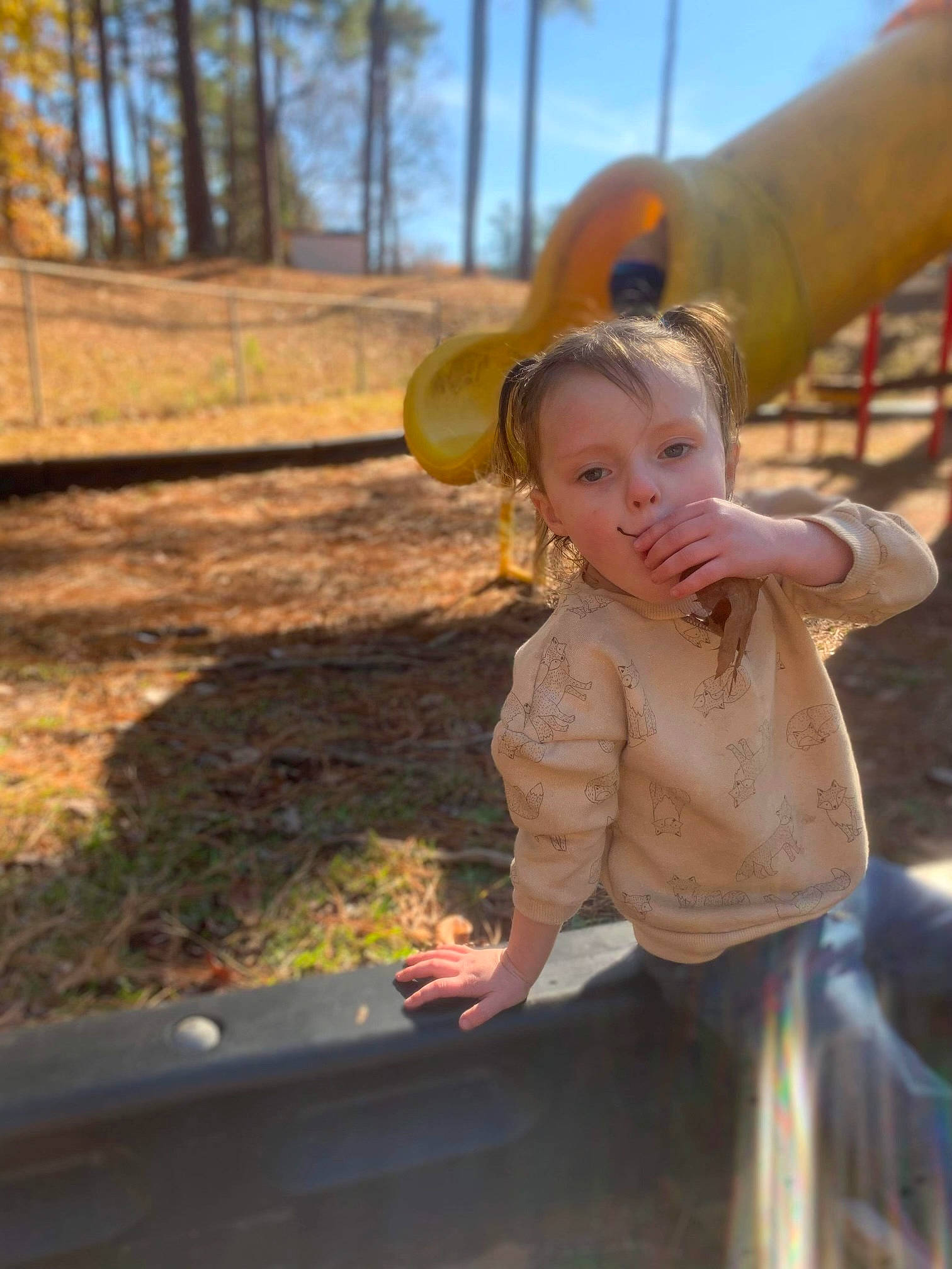 Rosalie is registered to the contest to win money with this photo: baby, baby_toddler_clothing, child, city, fun, grass, happy, landscape, leaf, leisure, outdoor_play_equipment, person, play, playground, recreation, sitting, sky, soil, toddler, tree