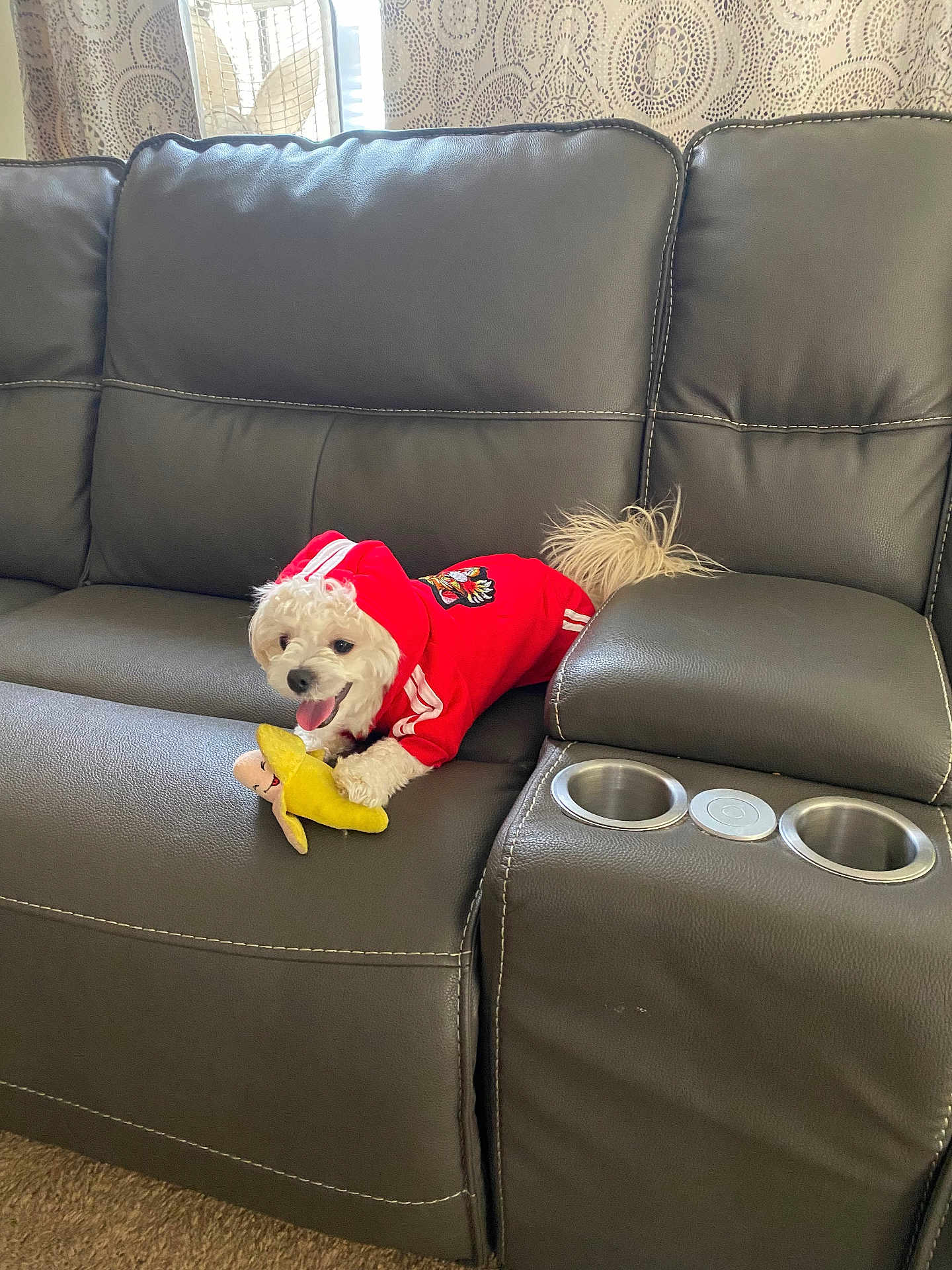 Max Alicea joined the competition — help win amazing prizes! dog, puppy, hoodie, red_hoodie, couch, leather_sofa, plush_toy, banana_toy, tongue_out, pet, indoor, living_room, curtains, window_light, cup_holders, stitching, armrest, small_dog, playful, adorable