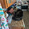 cat, kitchen, counter, tabby_cat, domestic, furniture, appliance, refrigerator, stove, curtain, pattern, cupcake, dog_container, food_bowl, floor, cabinet, home, indoor, pet, cozy