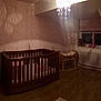 Bella-Grace is registered to the contest to win money with this photo: