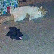 Riley joined the competition — help win amazing prizes!